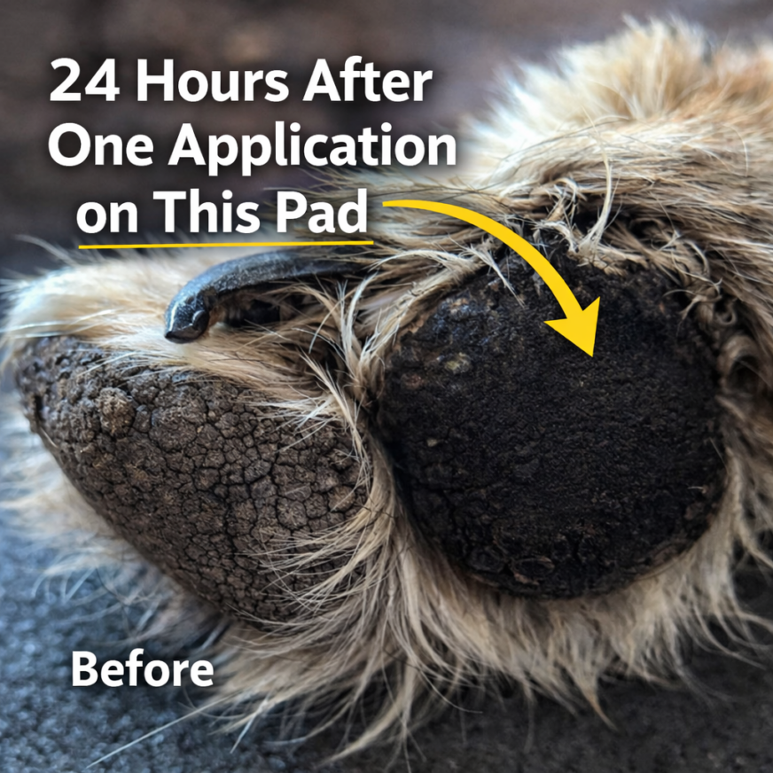 Qwazi's Honest Sauce label